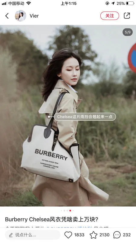 Burberry Bags - BG Bags - 746