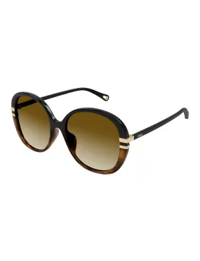 Old Hollywood Sunglasses, Black/Brown